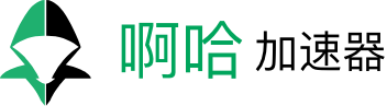 AHAspeed Chinese Logo